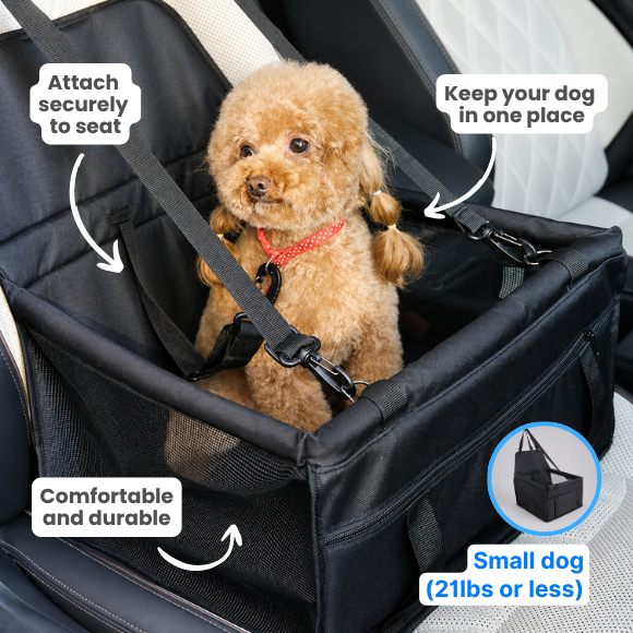 Dog Car Essentials Bundle