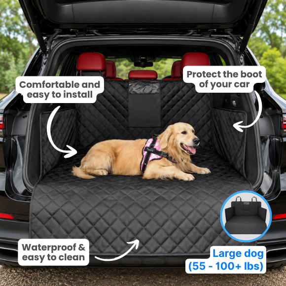 Dog Car Essentials Bundle