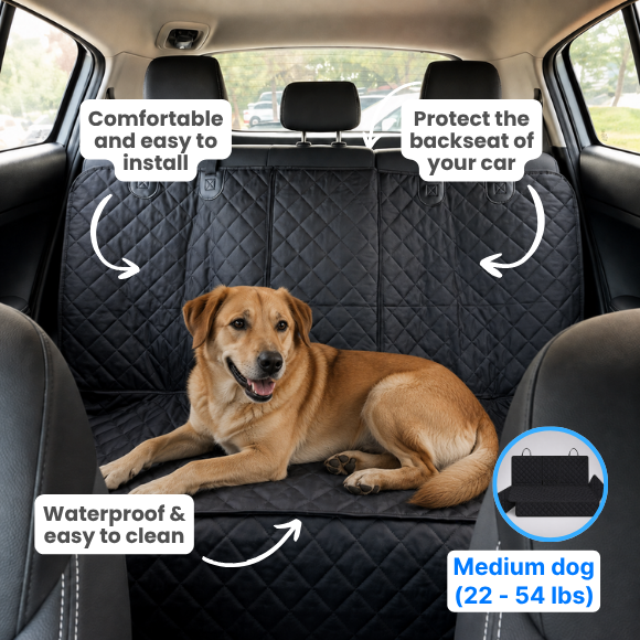 Dog Car Essentials Bundle
