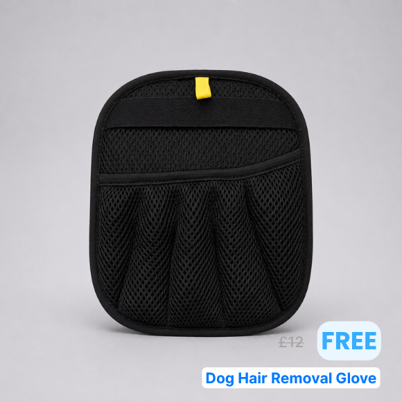 Dog Car Essentials Bundle