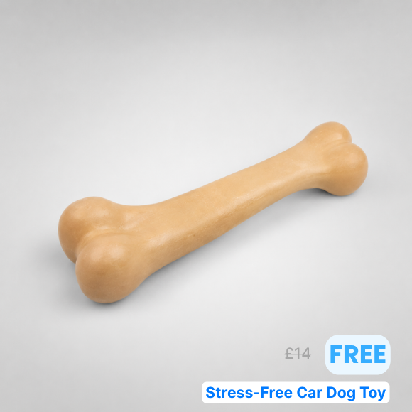 Dog Car Essentials Bundle