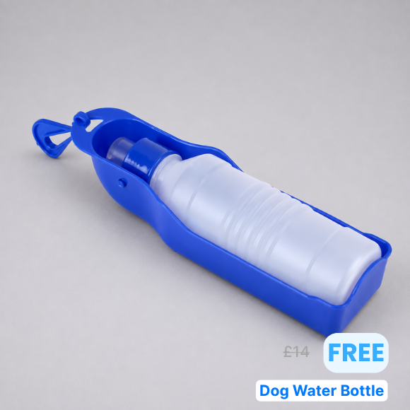Dog Car Essentials Bundle
