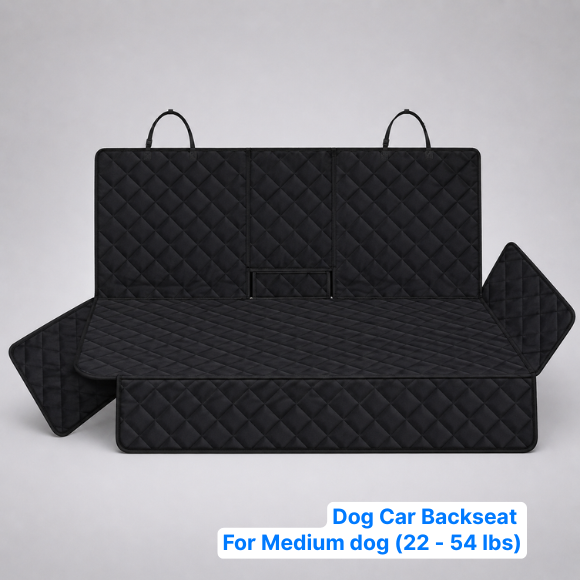 Dog Car Essentials Bundle