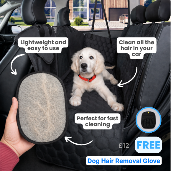 Dog Car Essentials Bundle