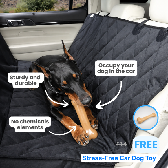 Dog Car Essentials Bundle