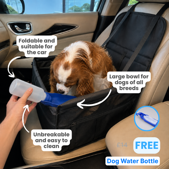 Dog Car Essentials Bundle