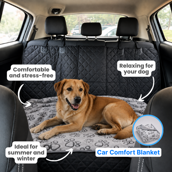 Dog Car Essentials Bundle