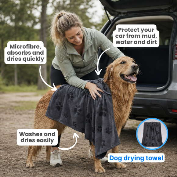 Dog Car Essentials Bundle