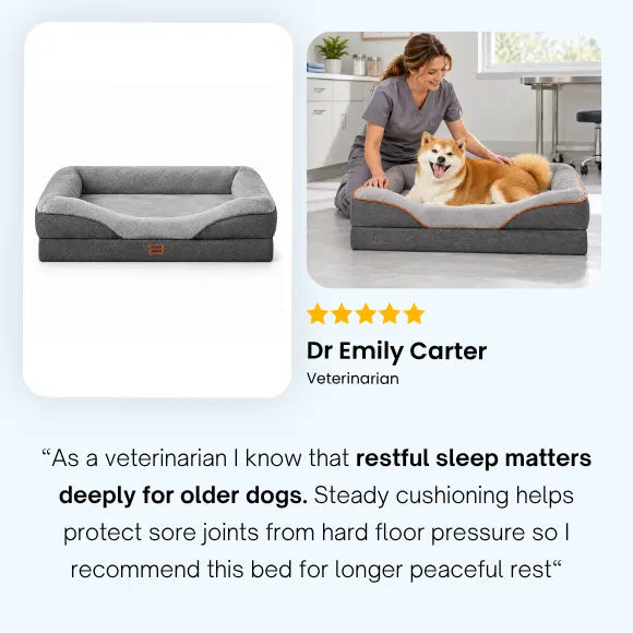 OrthoNest™ - Memory Foam Orthopedic Dog Bed