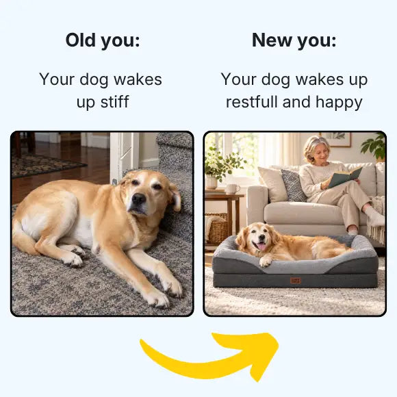 OrthoNest™ - Memory Foam Orthopedic Dog Bed