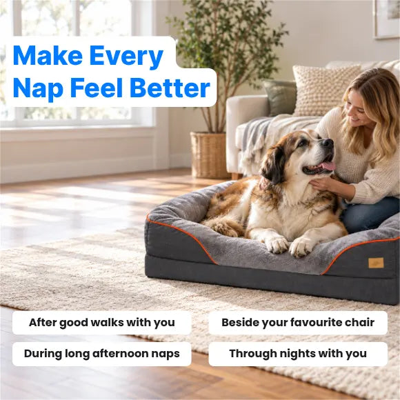 OrthoNest™ - Memory Foam Orthopedic Dog Bed