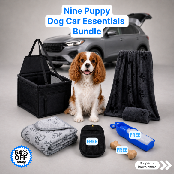 Dog Car Essentials Bundle