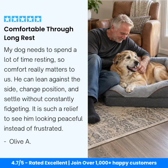 OrthoNest™ - Memory Foam Orthopedic Dog Bed