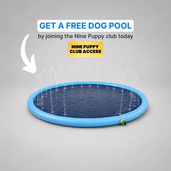 Nine Puppy Club Access