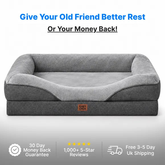 OrthoNest™ - Memory Foam Orthopedic Dog Bed