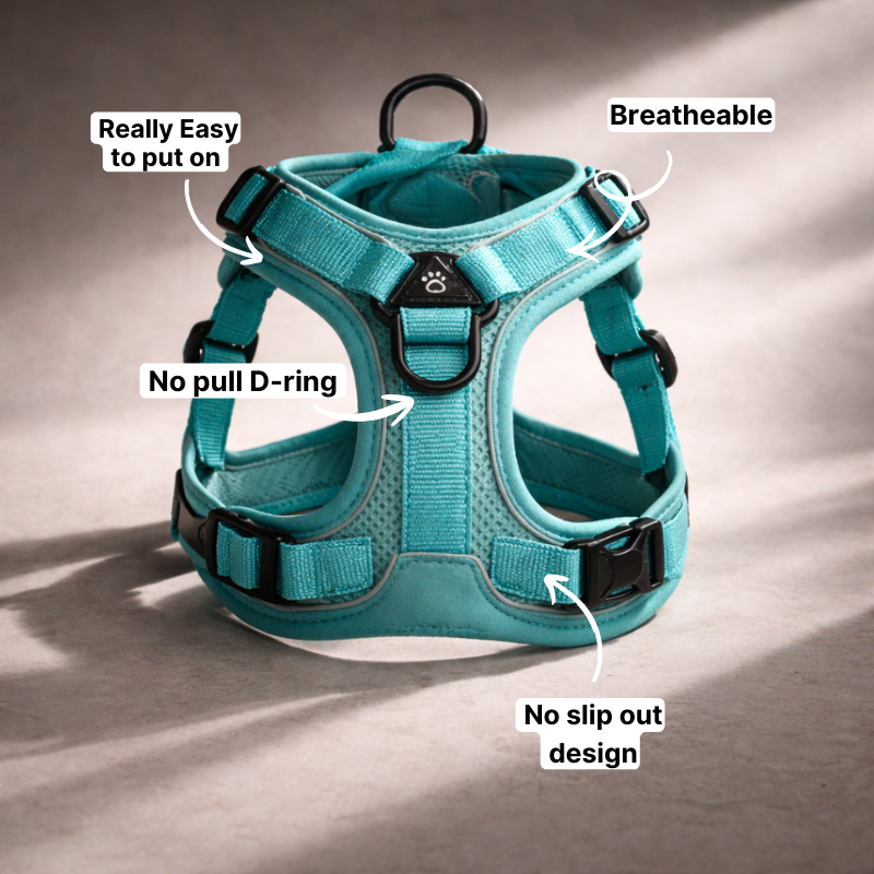 No Pull Dog Harness