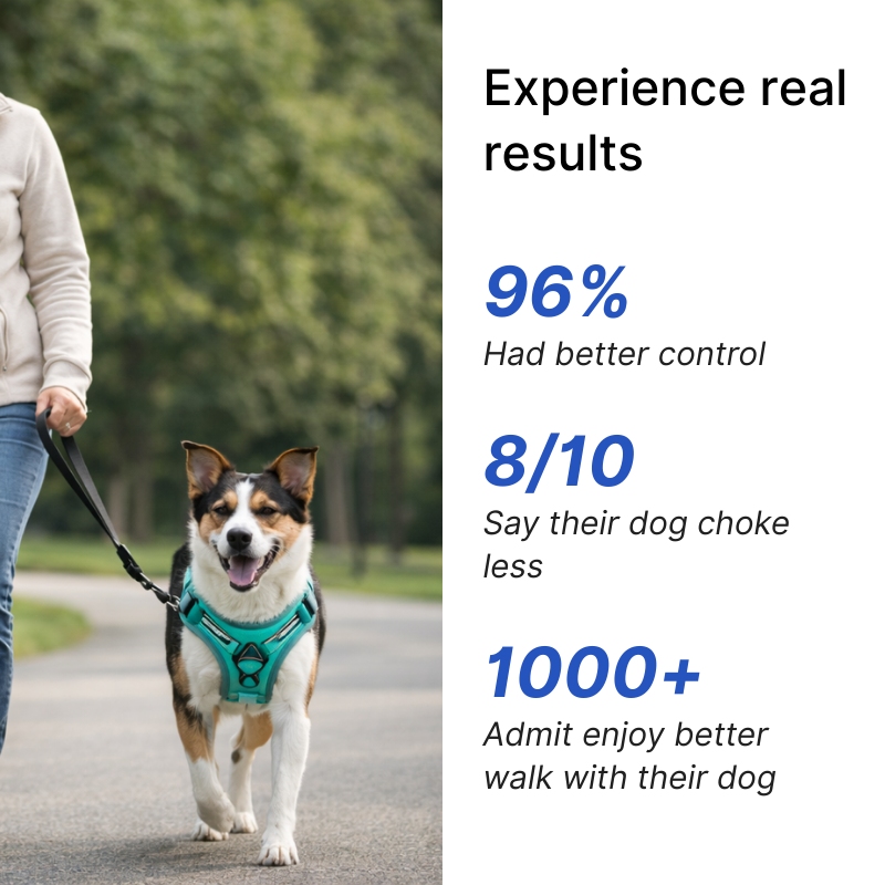 No Pull Dog Harness