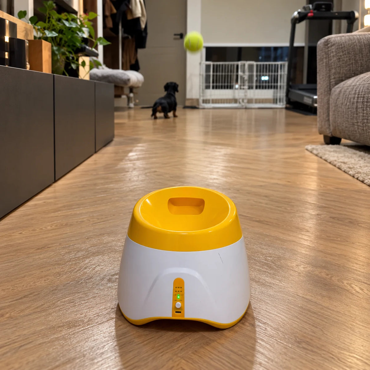 New Automatic Dog Ball Launcher