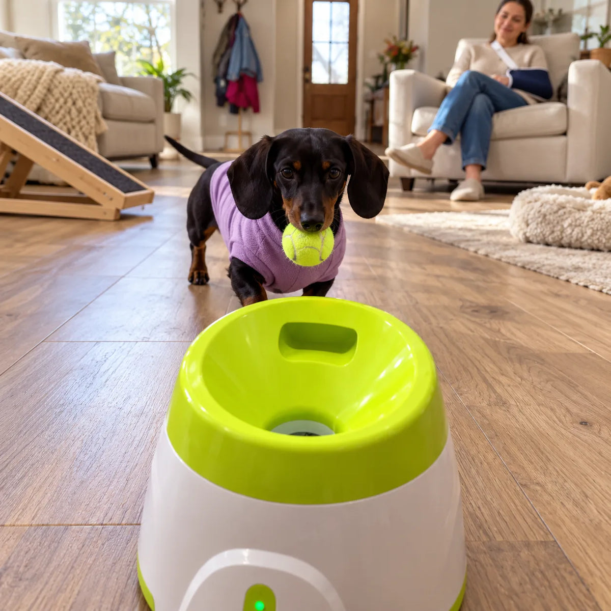 New Automatic Dog Ball Launcher