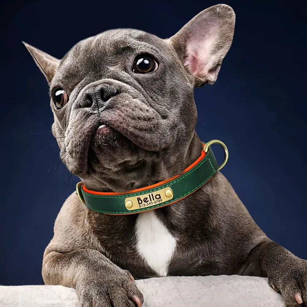 Custom Leather Dog Collar