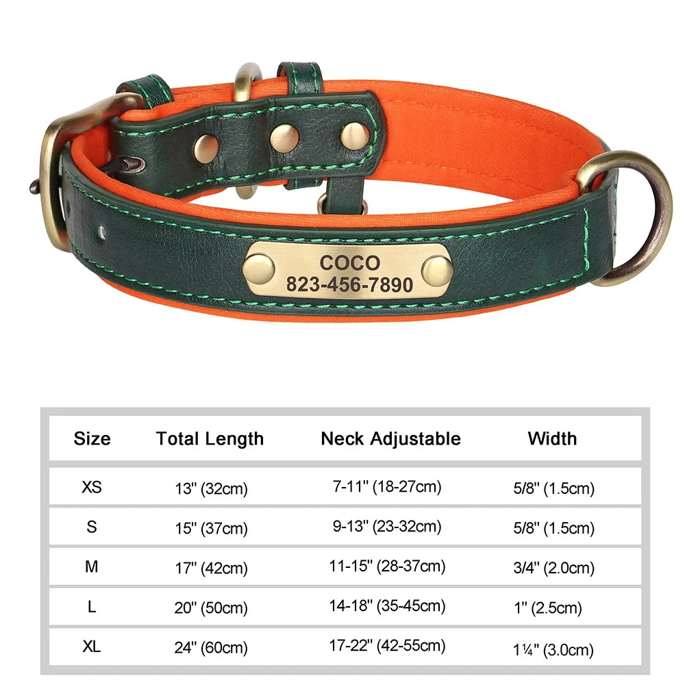Custom Leather Dog Collar
