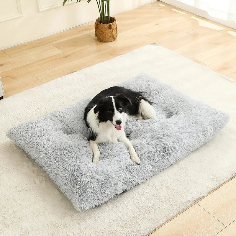 Soft Plush Dog Beds