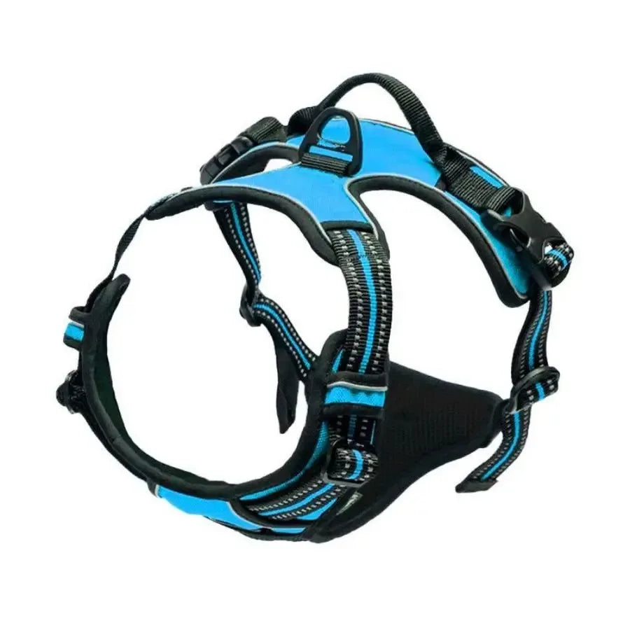 D-Ring No Pull Harness
