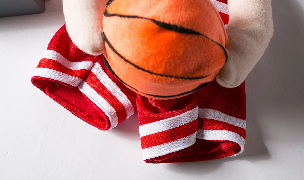 Dog Basketball costum