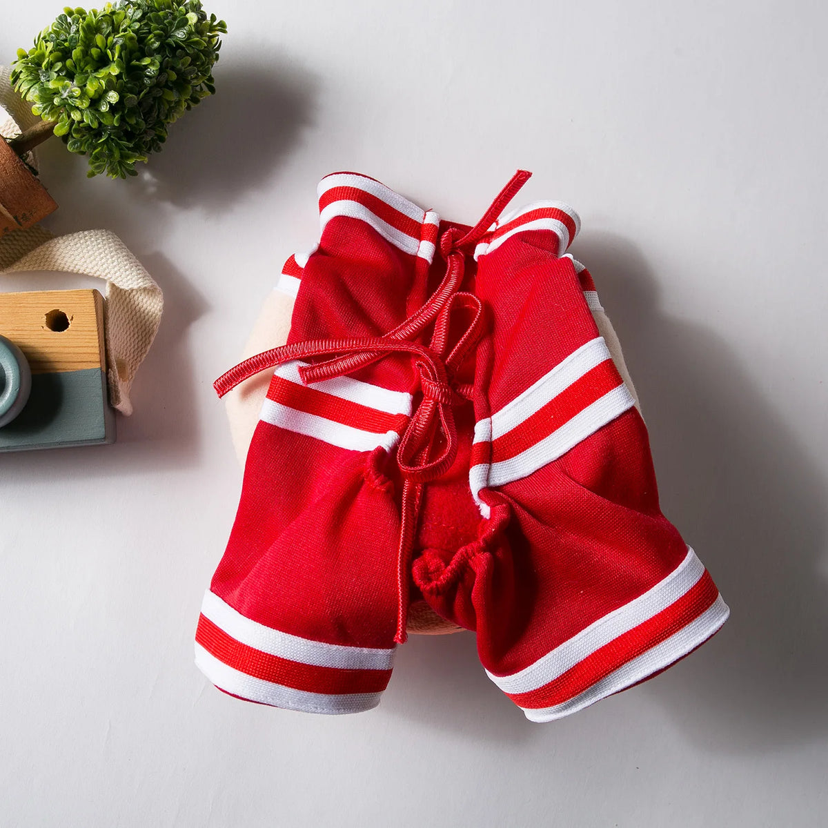Dog Basketball costum