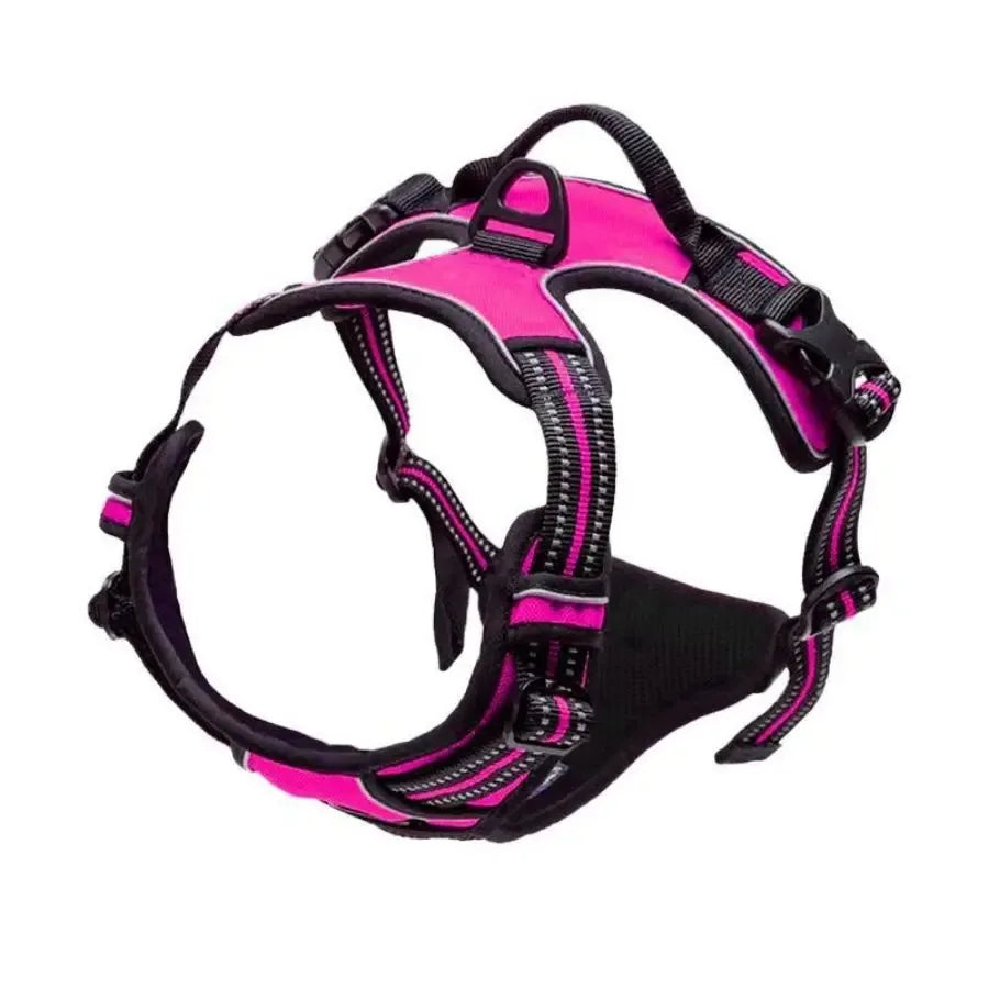 D-Ring No Pull Harness