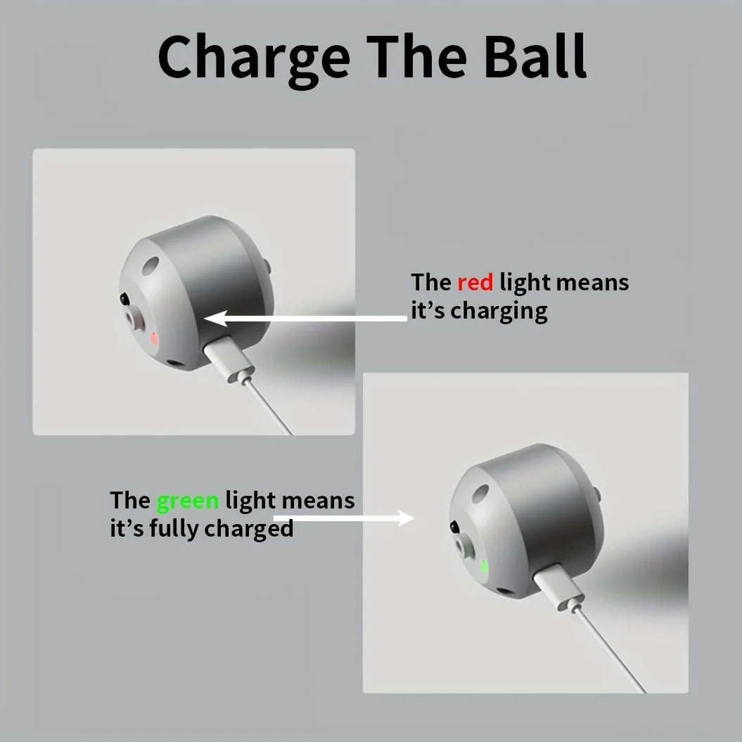 Smart Electronic Ball Dog Toy