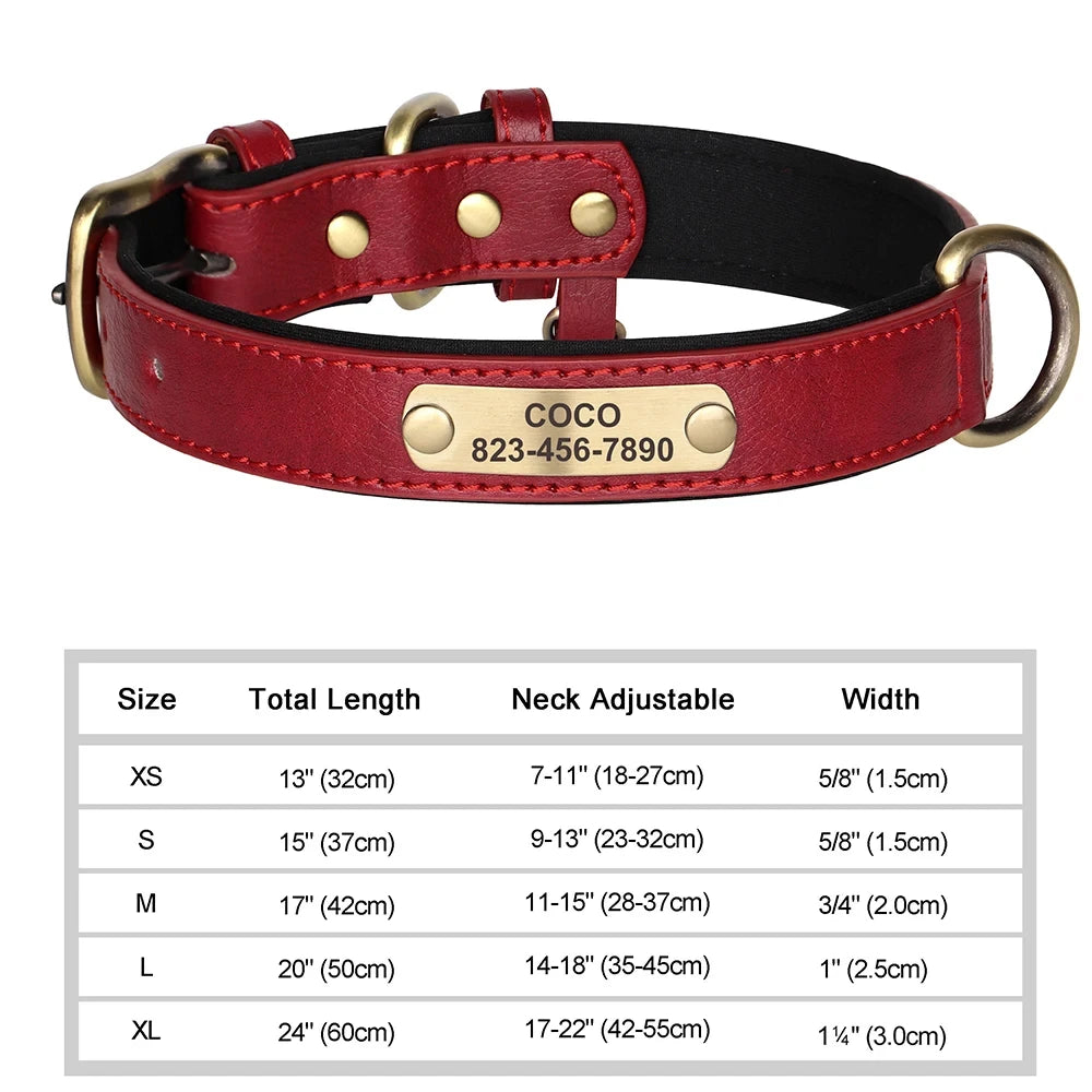 Custom Leather Dog Collar