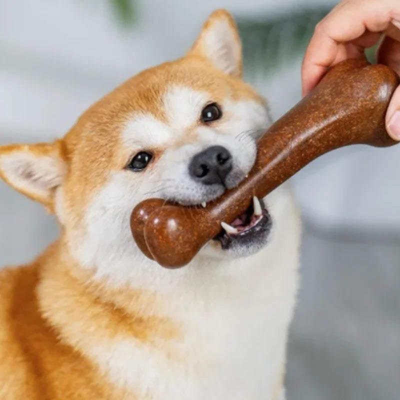 Bones Dog Toy