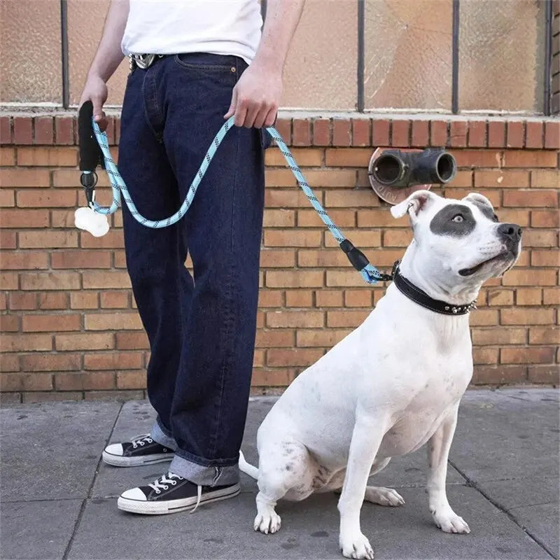 Reflective Dog Lead
