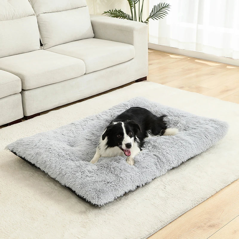 Soft Plush Dog Beds