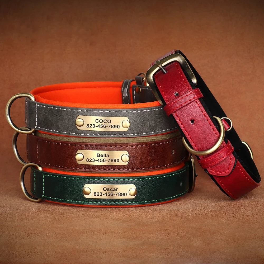 Custom Leather Dog Collar