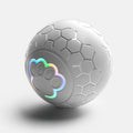 Smart Electronic Ball Dog Toy