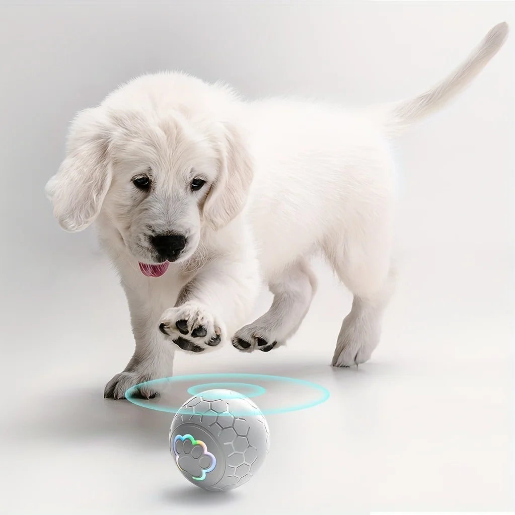 Smart Electronic Ball Dog Toy