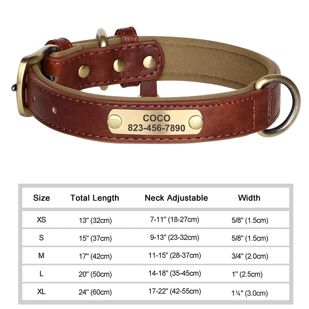 Custom Leather Dog Collar