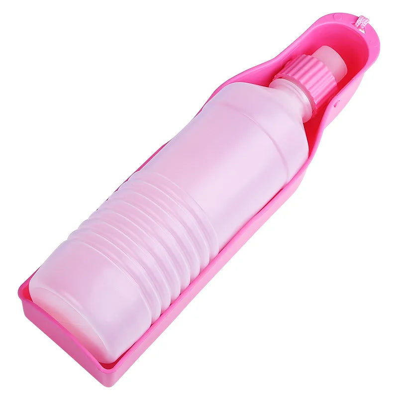 Car Dog Water Bottle