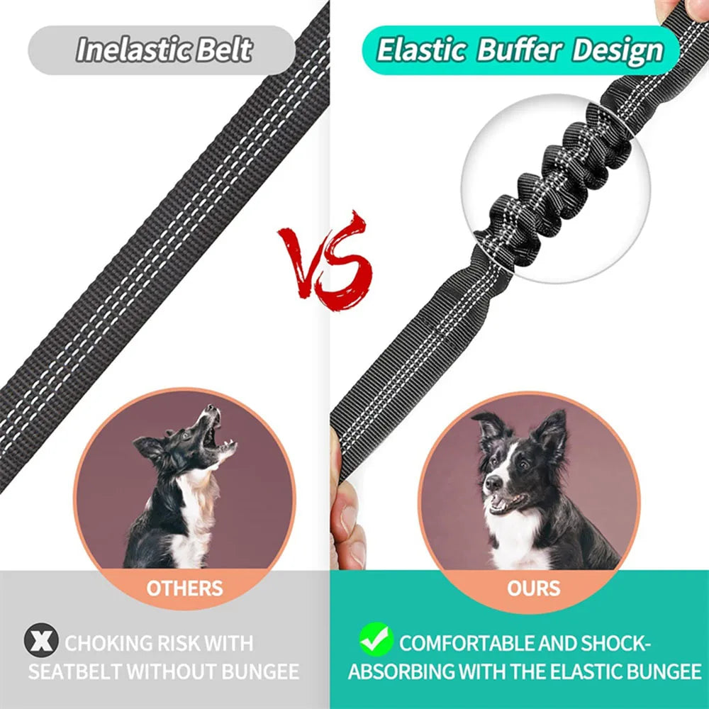 Dog Car Seat Belt