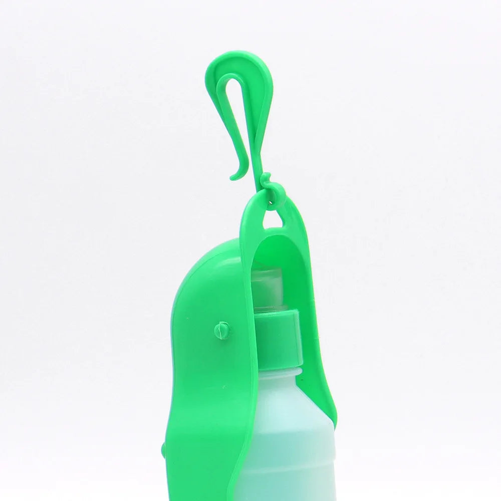 Car Dog Water Bottle