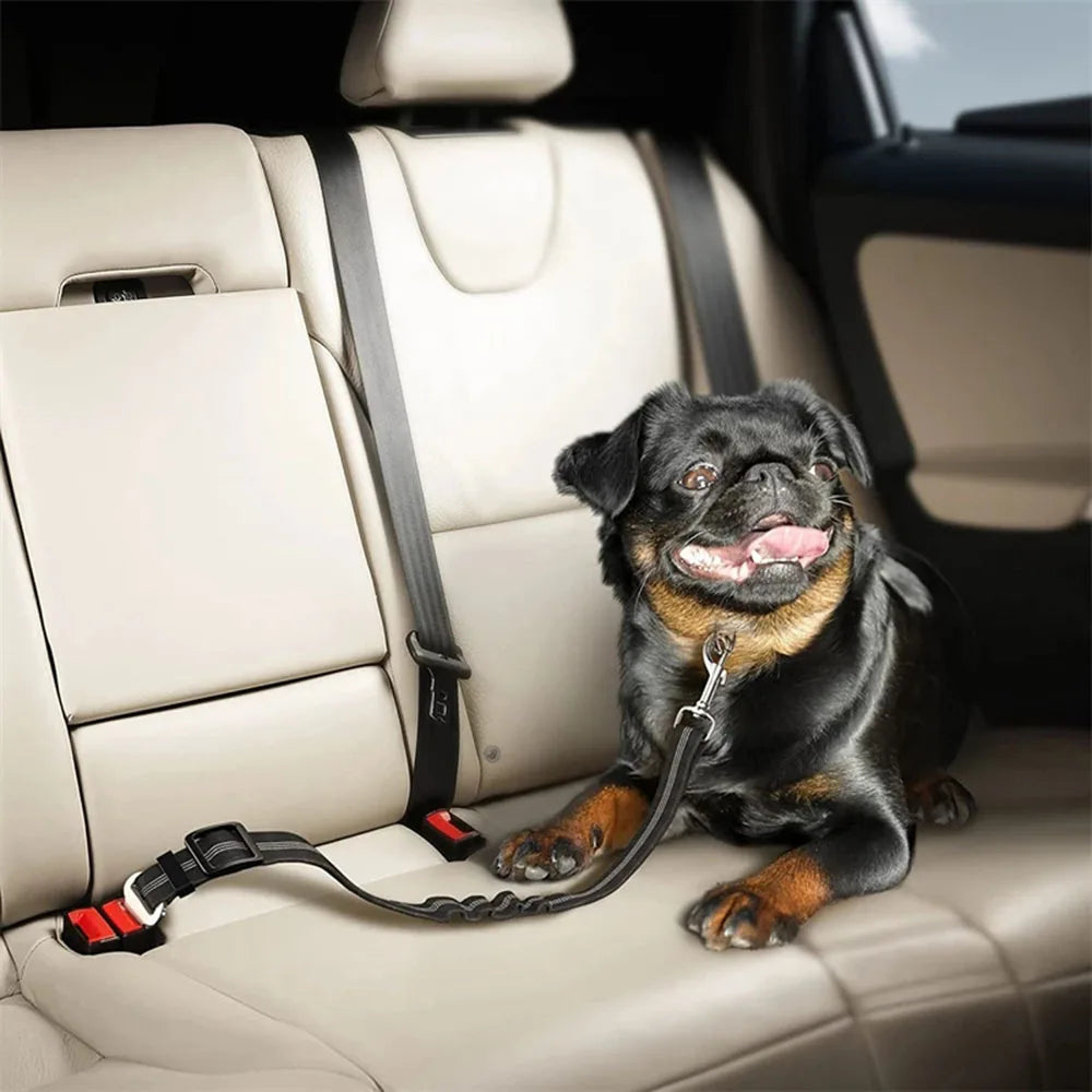 Dog Car Seat Belt