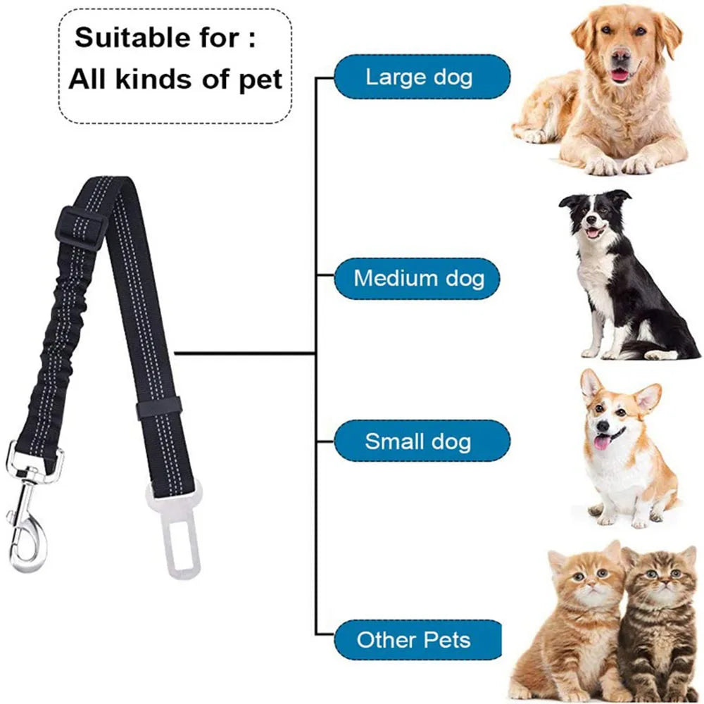 Dog Car Seat Belt
