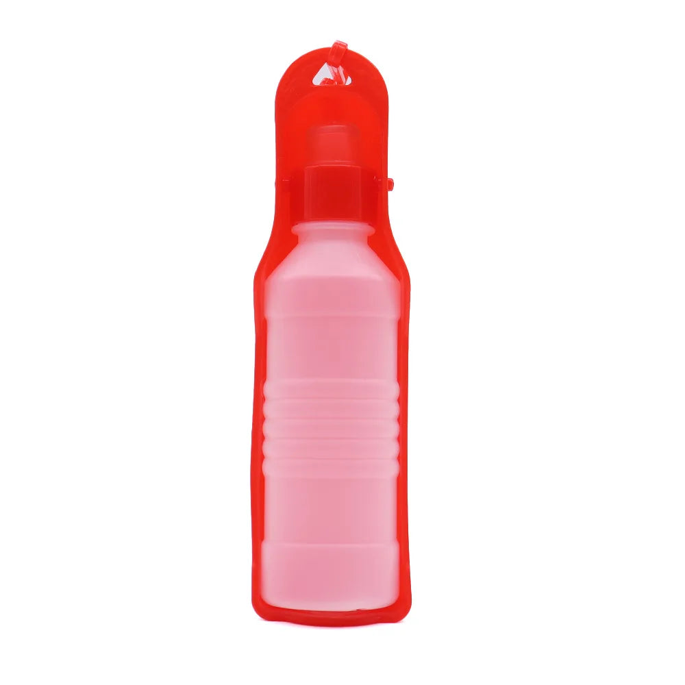 Car Dog Water Bottle