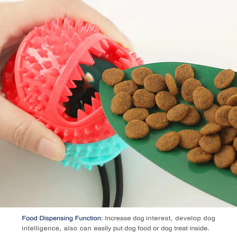 Tug of War Ball Dog Toys