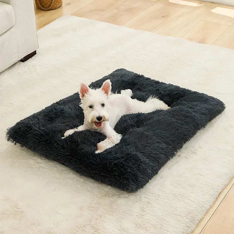 Soft Plush Dog Beds