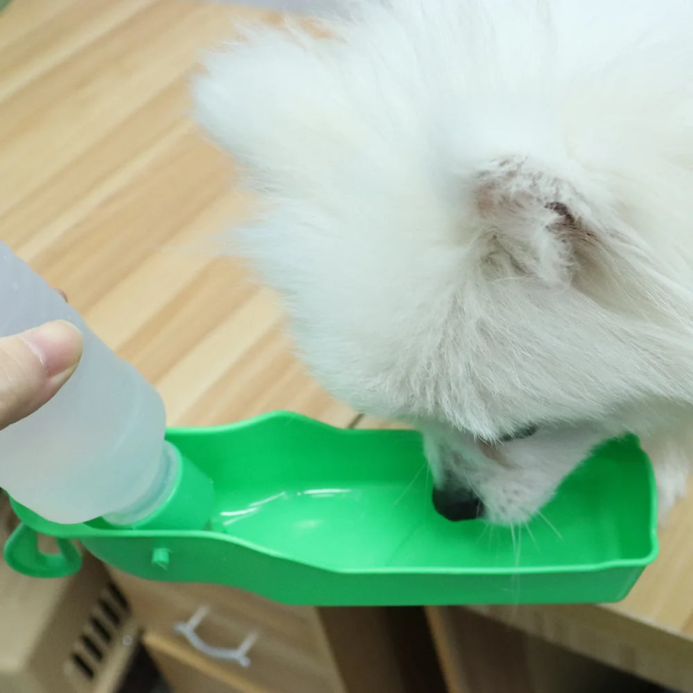 Car Dog Water Bottle