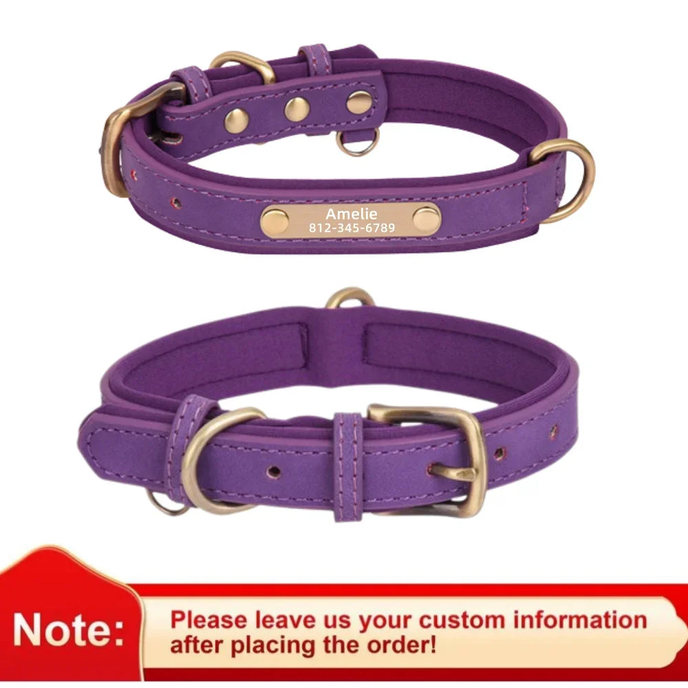 Custom Leather Dog Collar