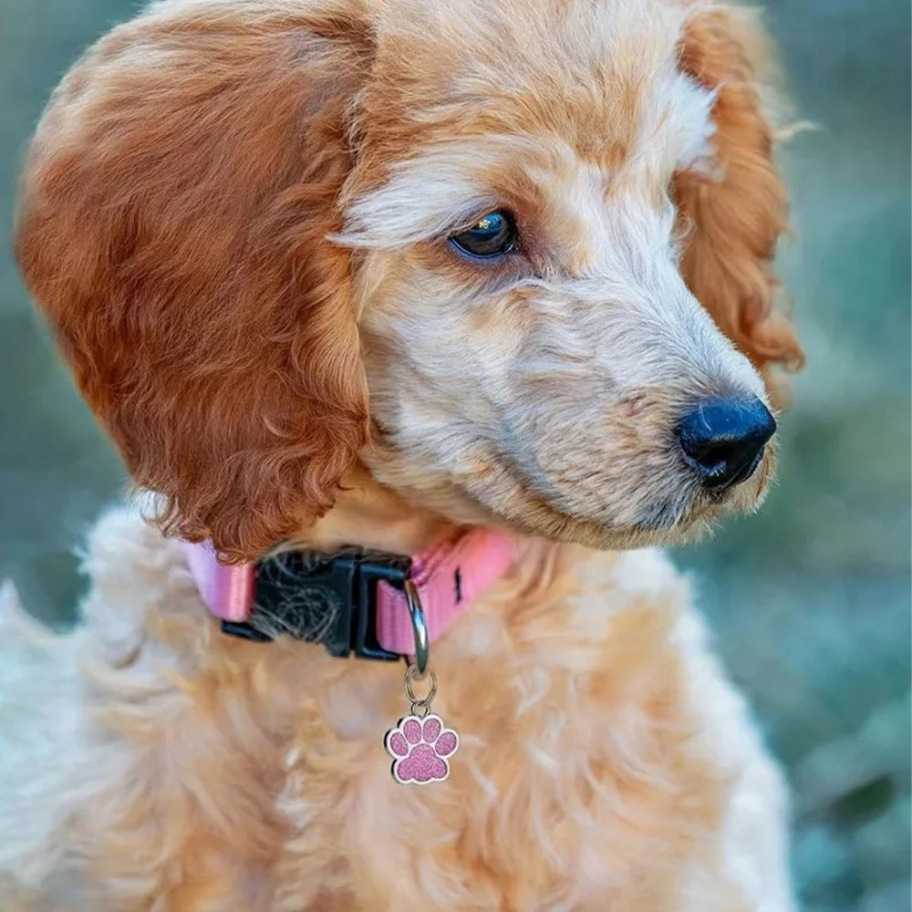 Custom Dog Jewelry Tag